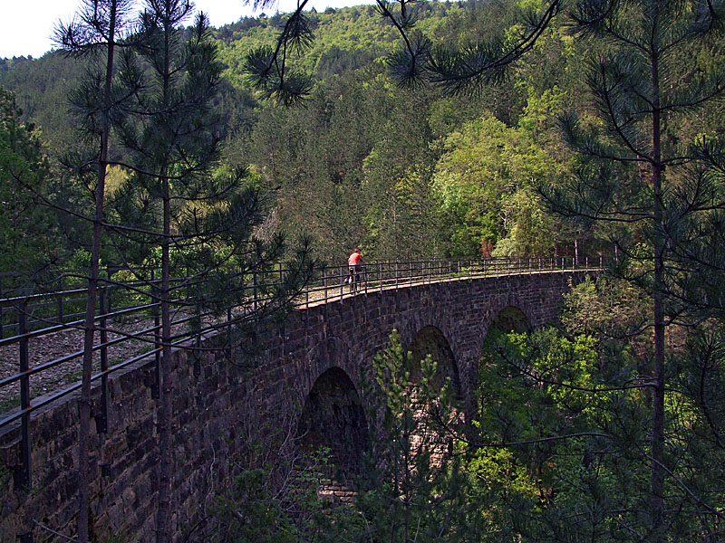 Biking trail Parenzana